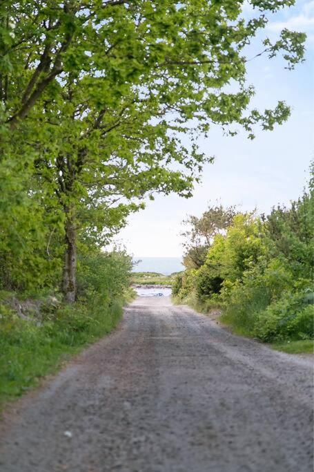 Cozy Cottage By The Sea South Of Varberg Traslovslage Extérieur photo